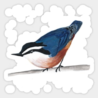 Red-breasted Nuthatch Sticker